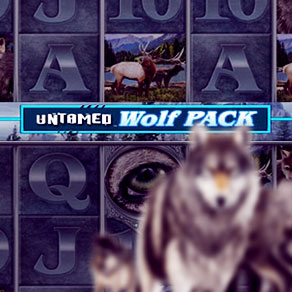 Слот-автомат Untamed Wolf Pack (Дикая волчья стая) от Microgaming бесплатно и без скачивания онлайн и на деньги в интернет-клубе Эльдорадо
