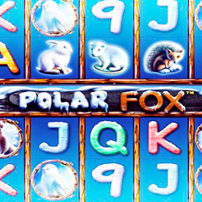 Видеослот Polar Fox (Песец) производства Novomatic бесплатно в демонстрационной версии и на деньги в виртуальном игровом клубе онлайн Joycasino