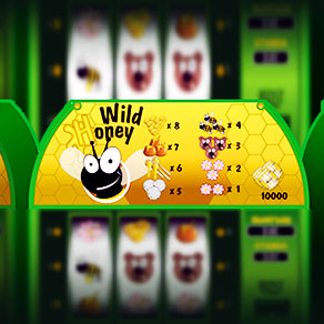 Игровой слот да Honey (Дикий Мед) от Playson бесплатно в демо и на денежные ставки в интернет-казино Супер Слотс
